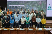 Suframa sedia reunião de alinhamento para combate a incêndios florestais no Amazonas
