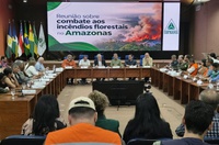 Suframa sedia reunião sobre ações de combate aos incêndios florestais no Amazonas