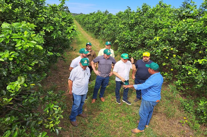 Foto mostra homem de azul fazendo uma explicação em um laranjal