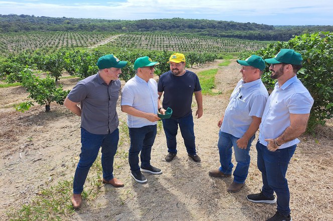 Foto mostra homens reunidos com laranjal ao fundo