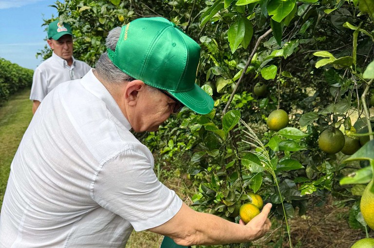 Foto mostra homem de boné verde pegando numa laranja