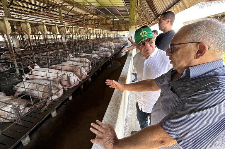 Imagem mostra dois homens de meia idade, em pé, conversando e olhando para um porco grande deitado no chão