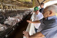 Suframa visita Fazenda Bela Vista no Distrito Agropecuário da Autarquia