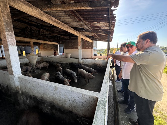 WhatsApp Image 2025-07-25 at 10.27.31.jpeg