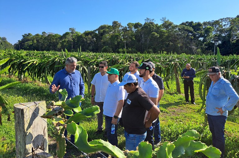 Foto mostra homem de blusa azul escuro apontando para uma plantação