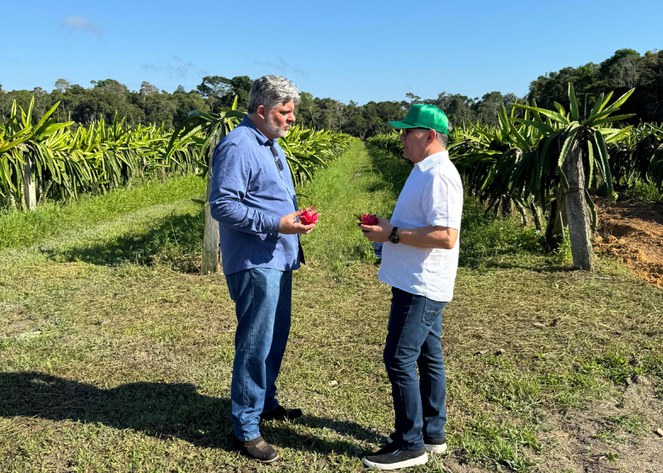 Foto mostra dois homens com fruta na mão