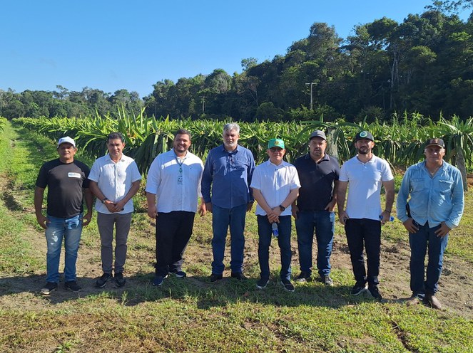 Foto mostra grupo de homens numa plantação