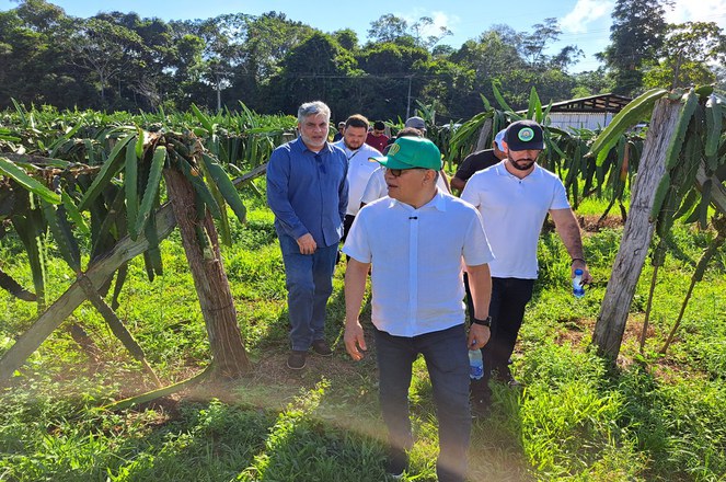 Foto mostra homem de boné verde caminhando com outros homens numa plantação
