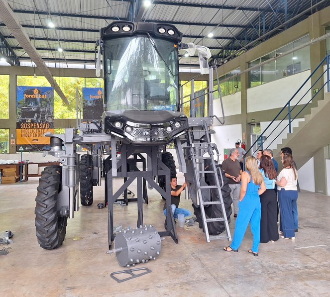 Reflorestamento 1.jpeg