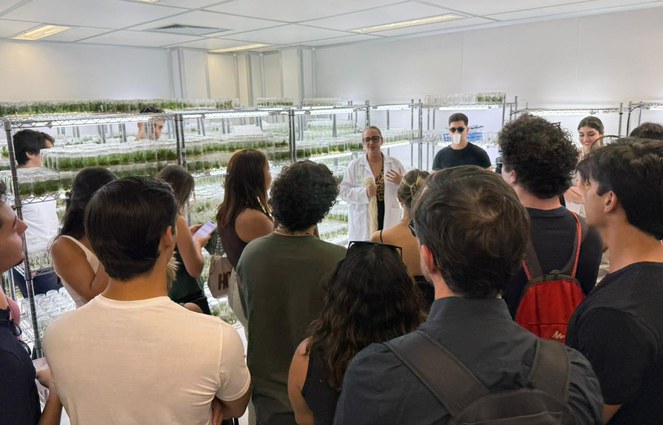 Foto mostra mulher fazendo explanação a um grupo de pessoas