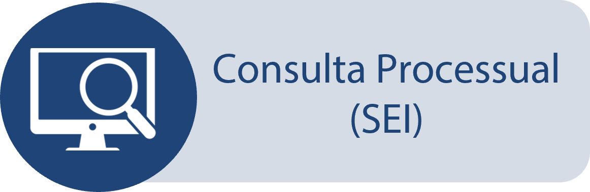 Consulta Processual (SEI)