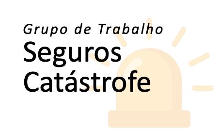 Grupo de Trabalho Seguros Catástrofe