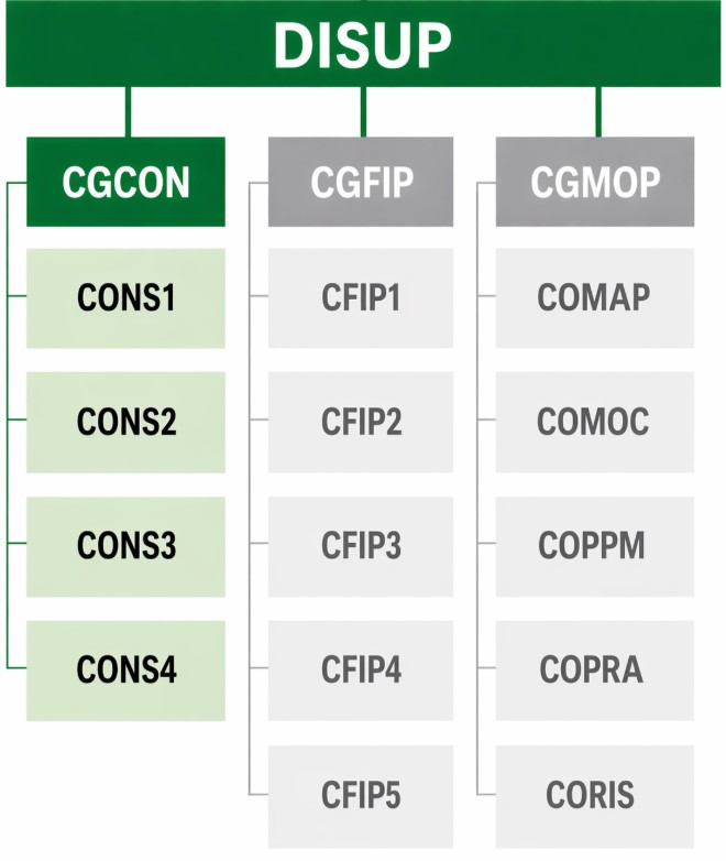 Organograma da DISUP/CGCON