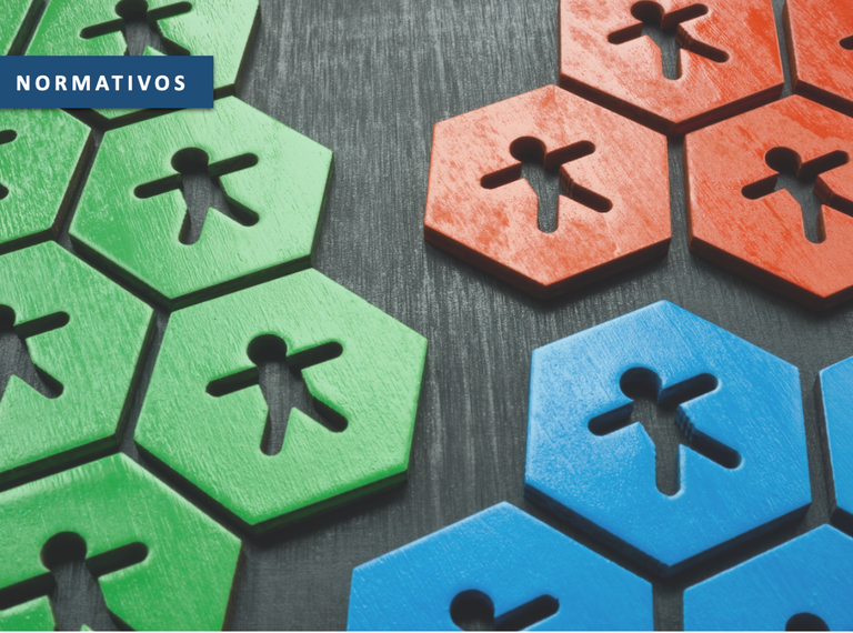 notícia segmentação destaque site.png