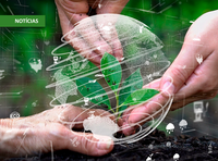 Governo nomeia membros do Comitê Interinstitucional da Taxonomia Sustentável Brasileira