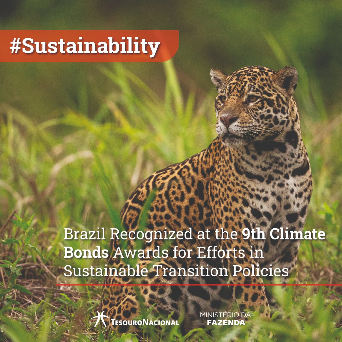 Brazil Recognized at the 9th Climate Bonds Awards for Efforts in Sustainable Transition Policies