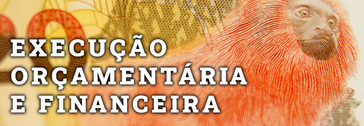Execução Orçamentária e Financeira