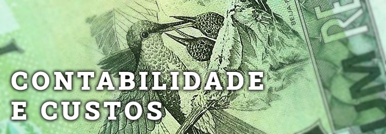 Contabilidade e Custos