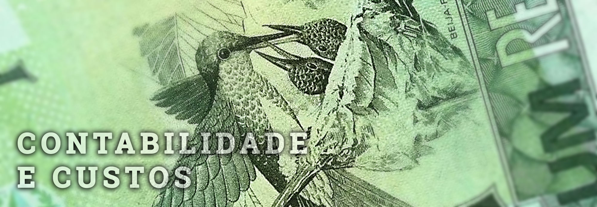 Contabilidade e Custos