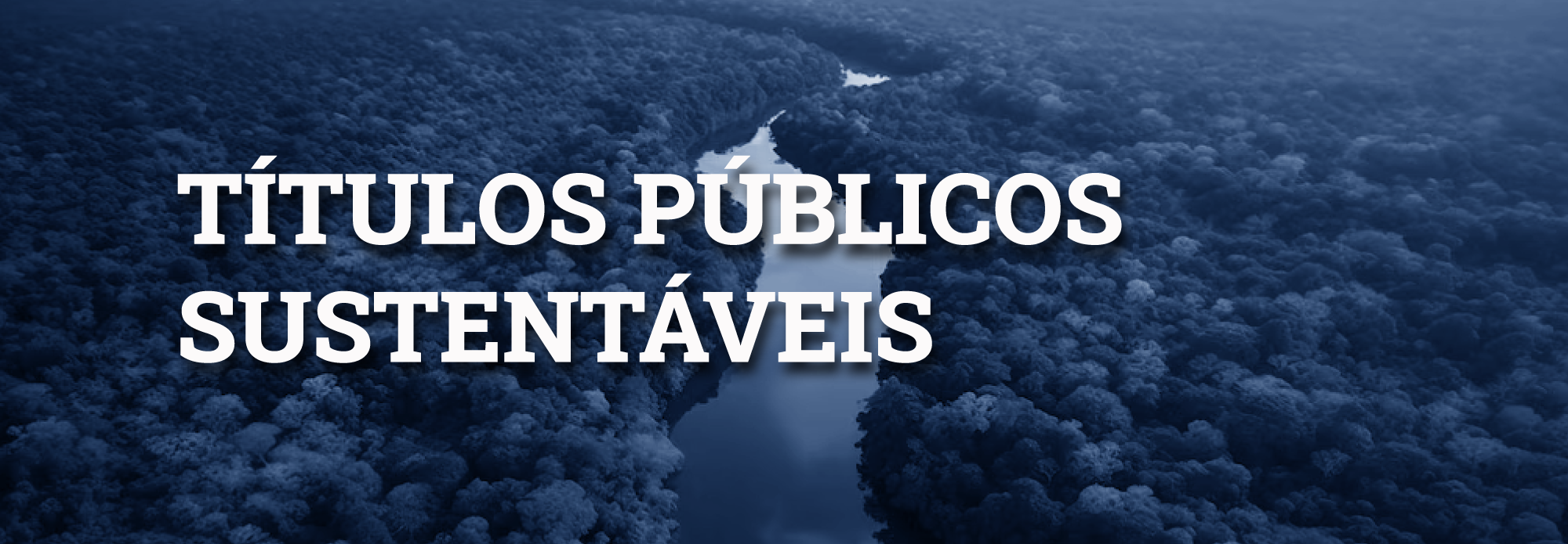 Título Públicos Sustentáveis