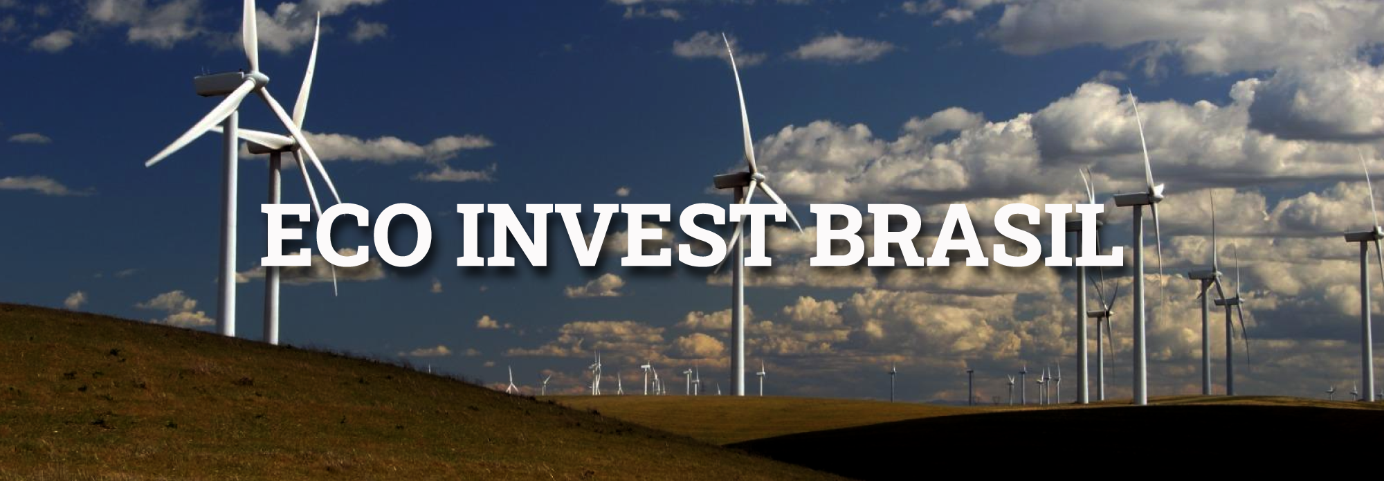 Banner Brasil Eco Invest