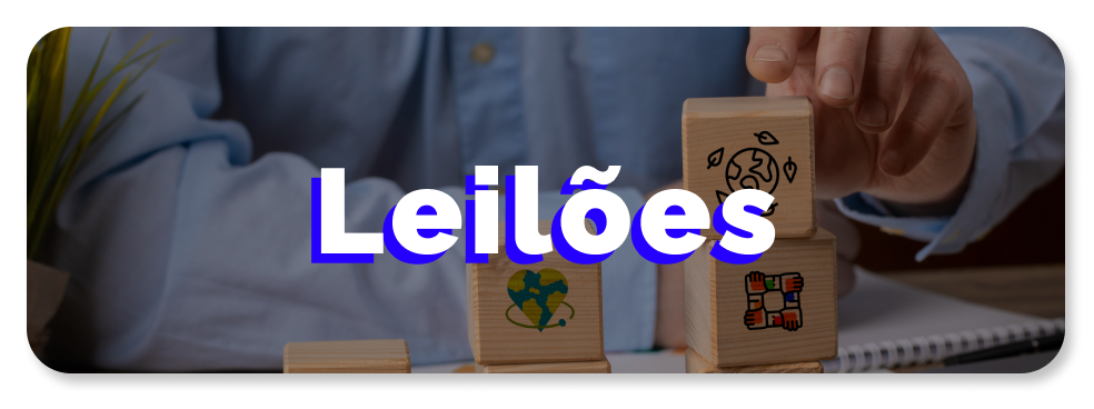 Leilões