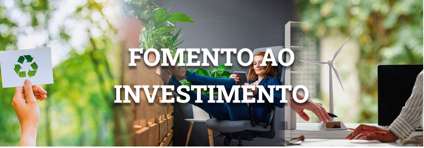 Fomento ao Investimento