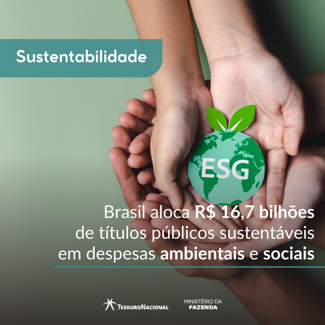 Relatório de Alocação e Impacto 2025