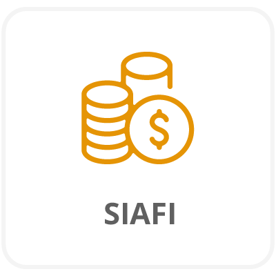 Ícone de moedas douradas e uma moeda com um cifrão dourado no centro. Texto: SIAFI