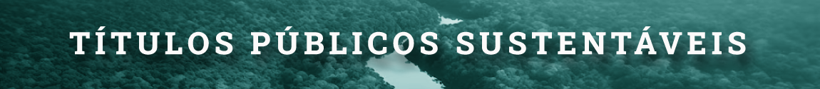 Pequeno trecho da selva amazônica com um rio passando entre árvores. Texto: Títulos públicos sustentáveis.