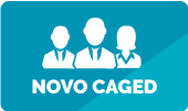 Novo CAGED