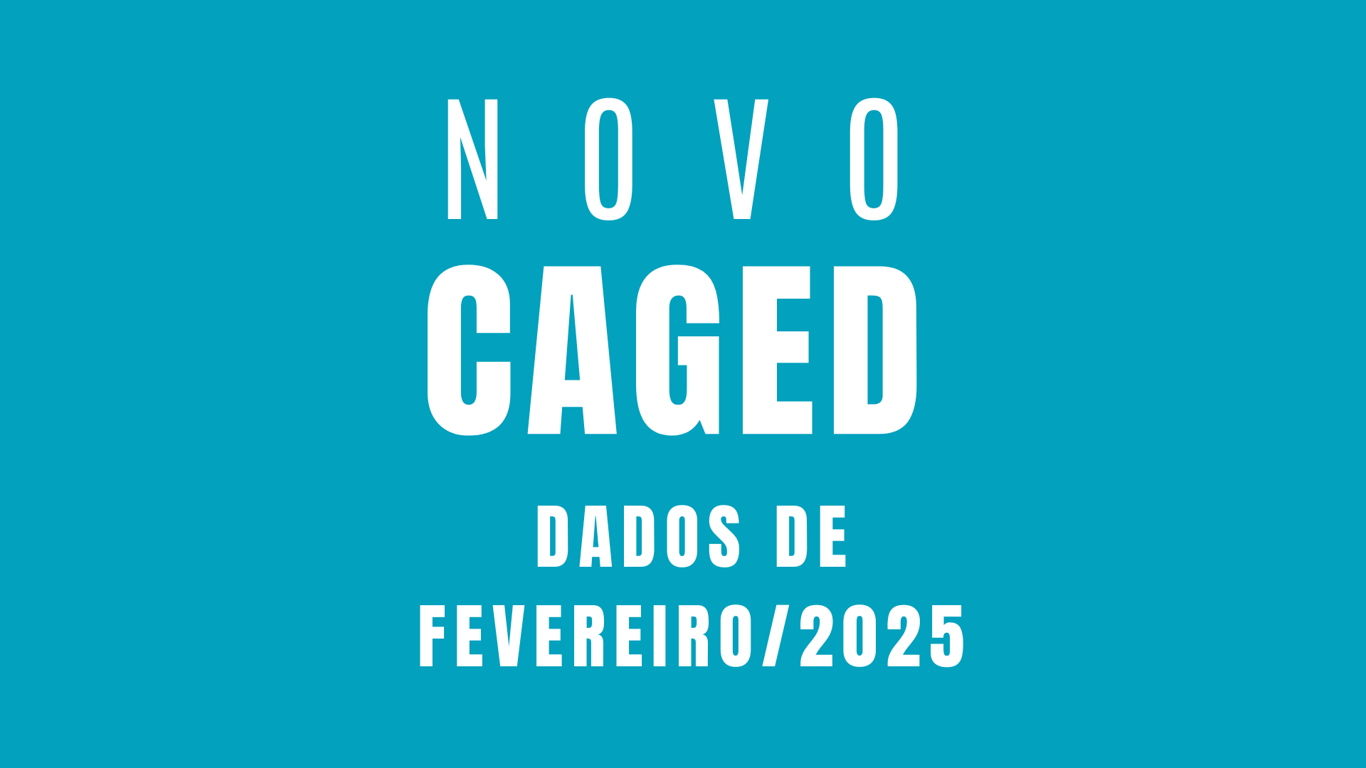 Novo Caged - Fevereiro 2025.png