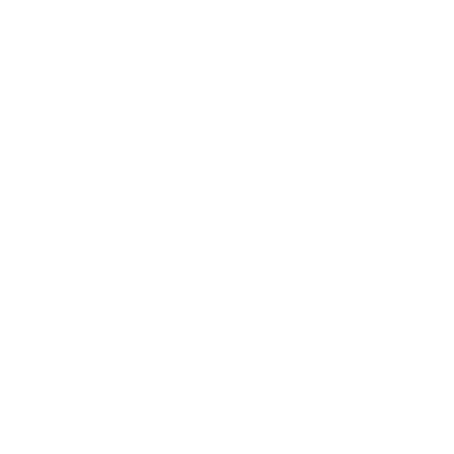 file-regular (2).png