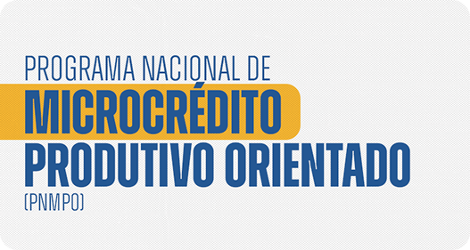 Programa Nacional de Microcrédito produtivo orientado (pnmpo)