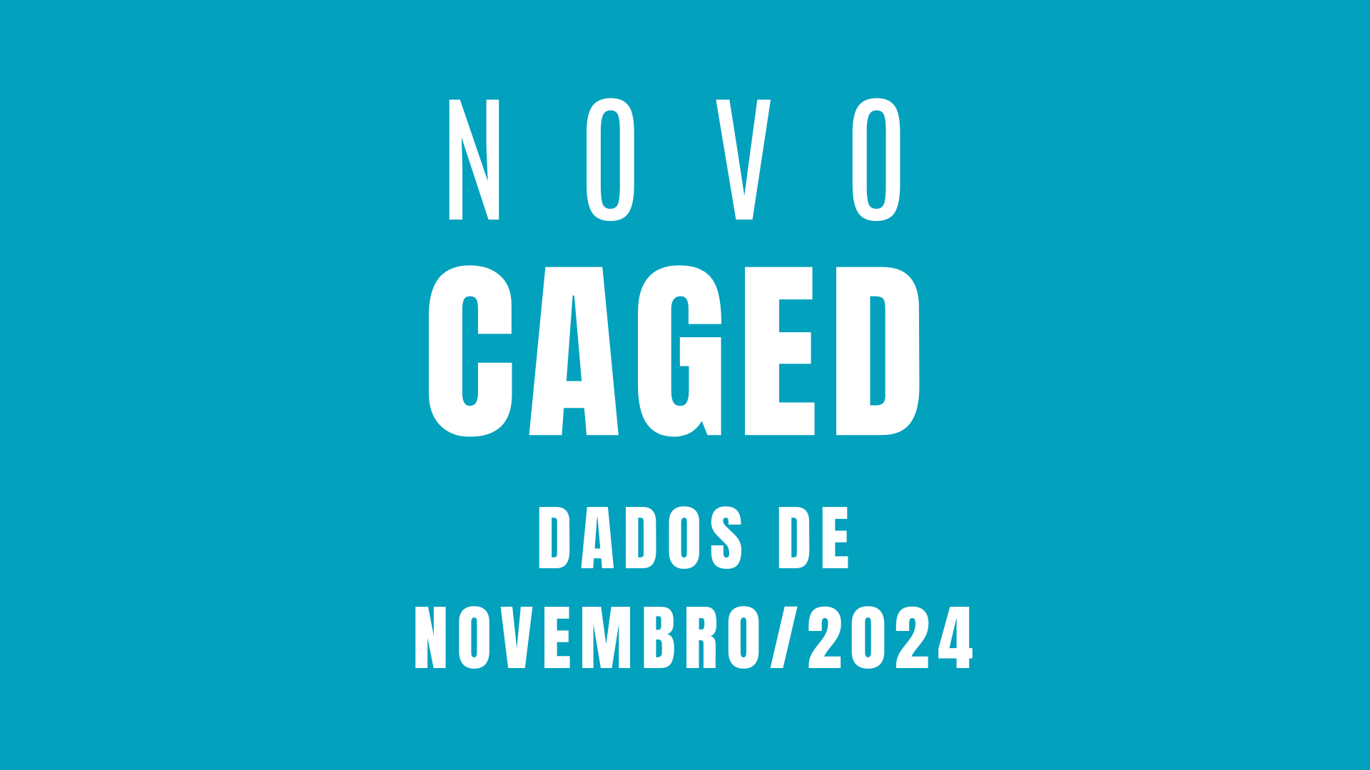 Novo Caged - Novembro 2024.png