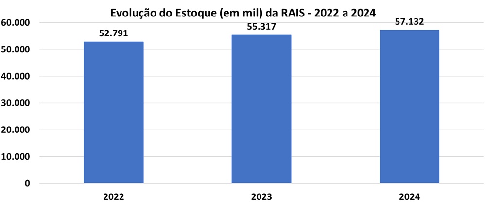 RAIS 2024 Vínculos.jpg