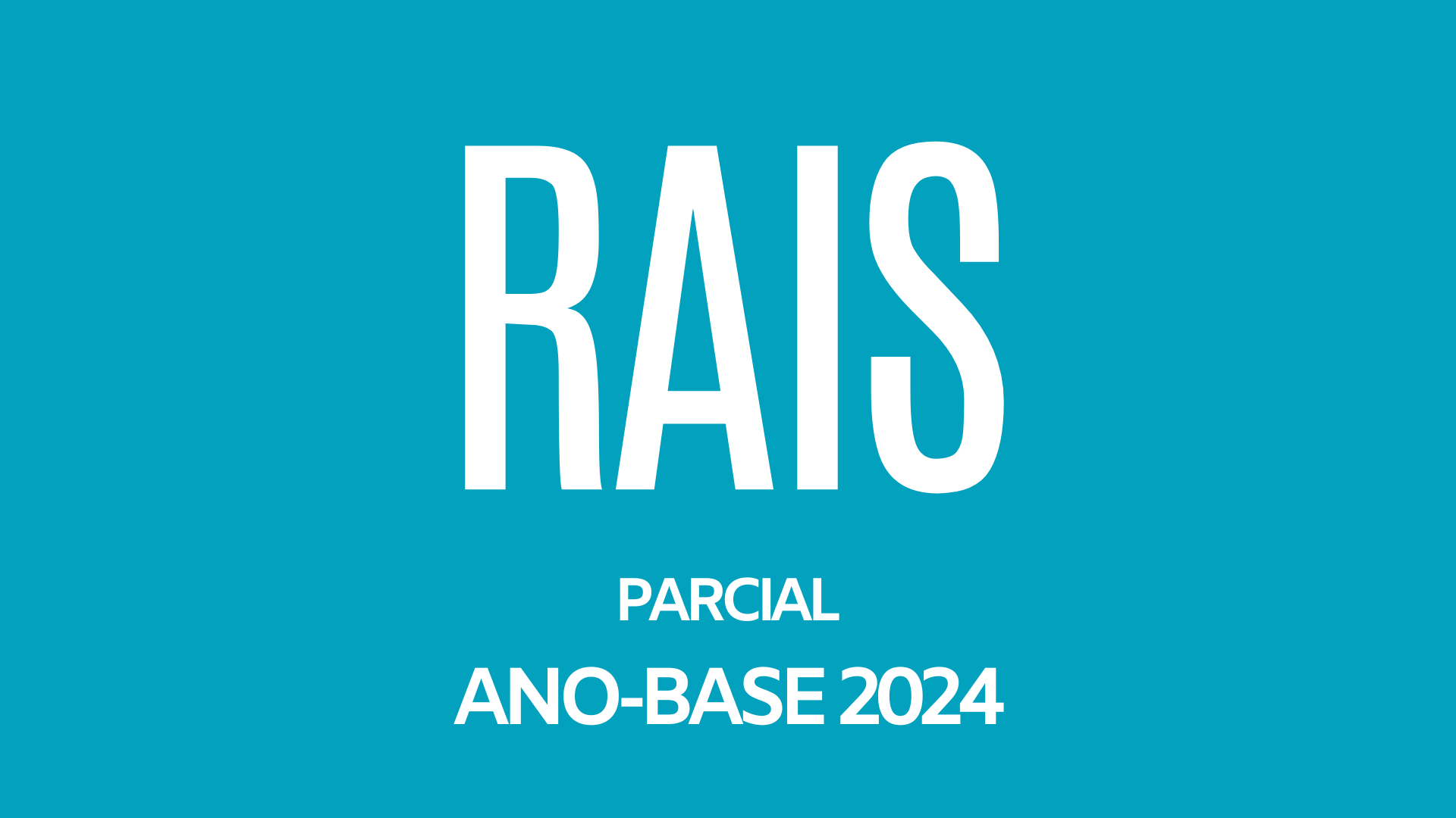 RAIS 2024 Parcial.png