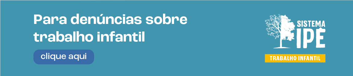 Acesse o sistema ipê clicando aqui