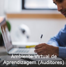 ambiente virtual de aprendizagem - auditores