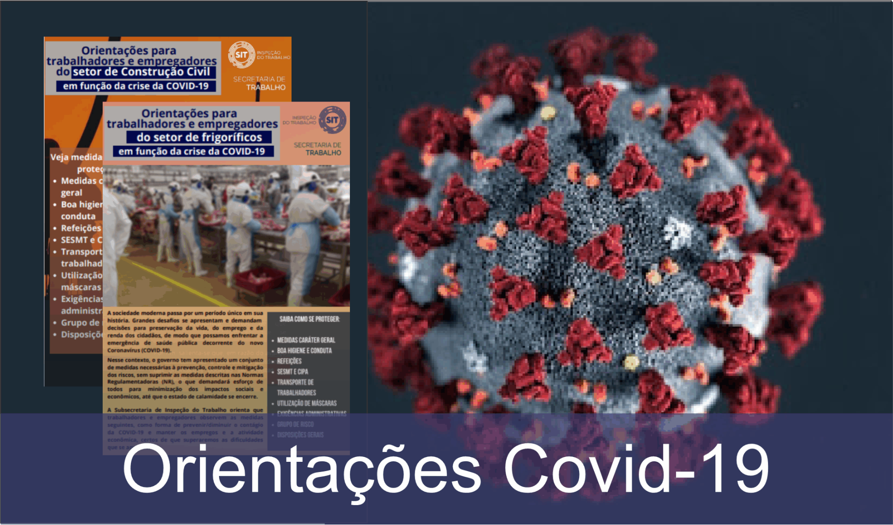 botao orientacoes 2.png