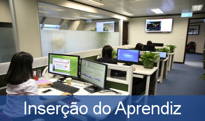 insercao_aprendiz.jpeg