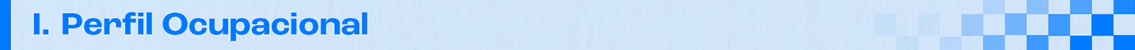 Tópico 1: Perfil Ocupacional