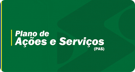 Plano de Ações e Serviços