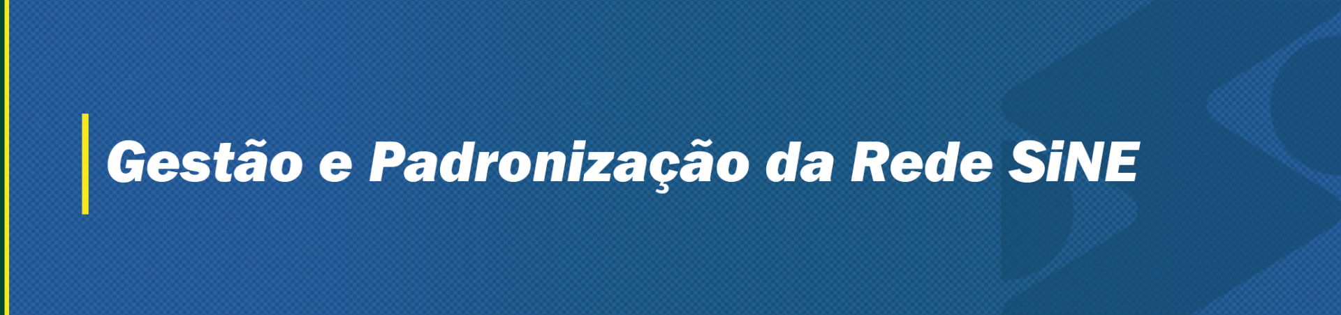 Página referente à Gestão e Padronização da Rede Sine