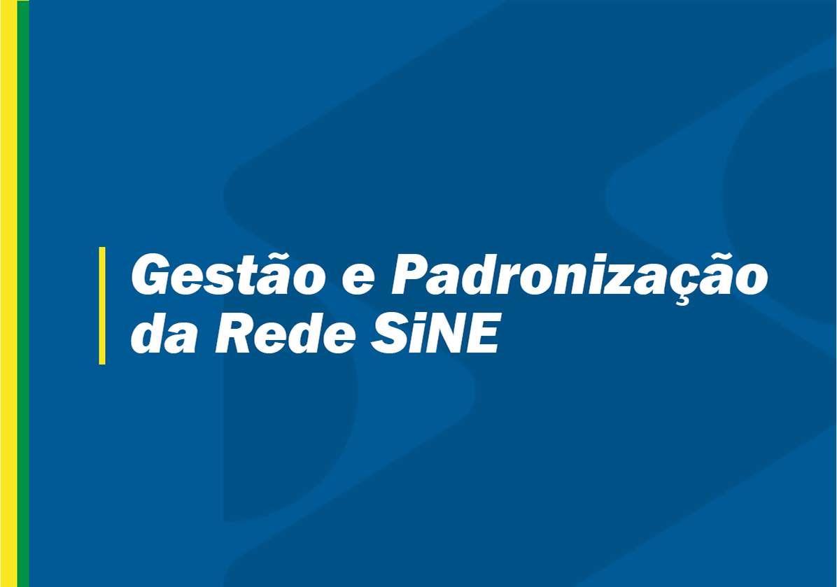 Página referente à Gestão e Padronização da Rede Sine