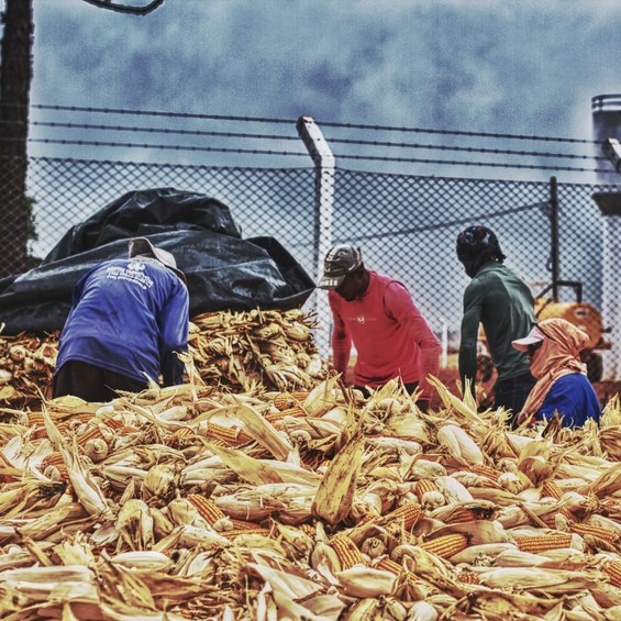 WhatsApp Image 2021-10-19 at 09.29.09.jpeg