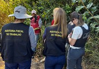 Grupo Móvel do MTE resgata 14 trabalhadores em colheita de café em MG