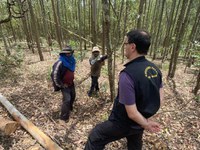 Fiscalização do MTE resgata sete trabalhadores de condições análogas à de escravo em MG