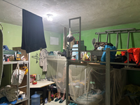 Força-tarefa resgata 163 trabalhadores chineses na Bahia