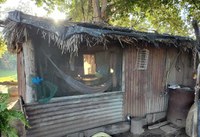 MTE, MPT e PF realizam Operação Feronia no Mato Grosso do Sul